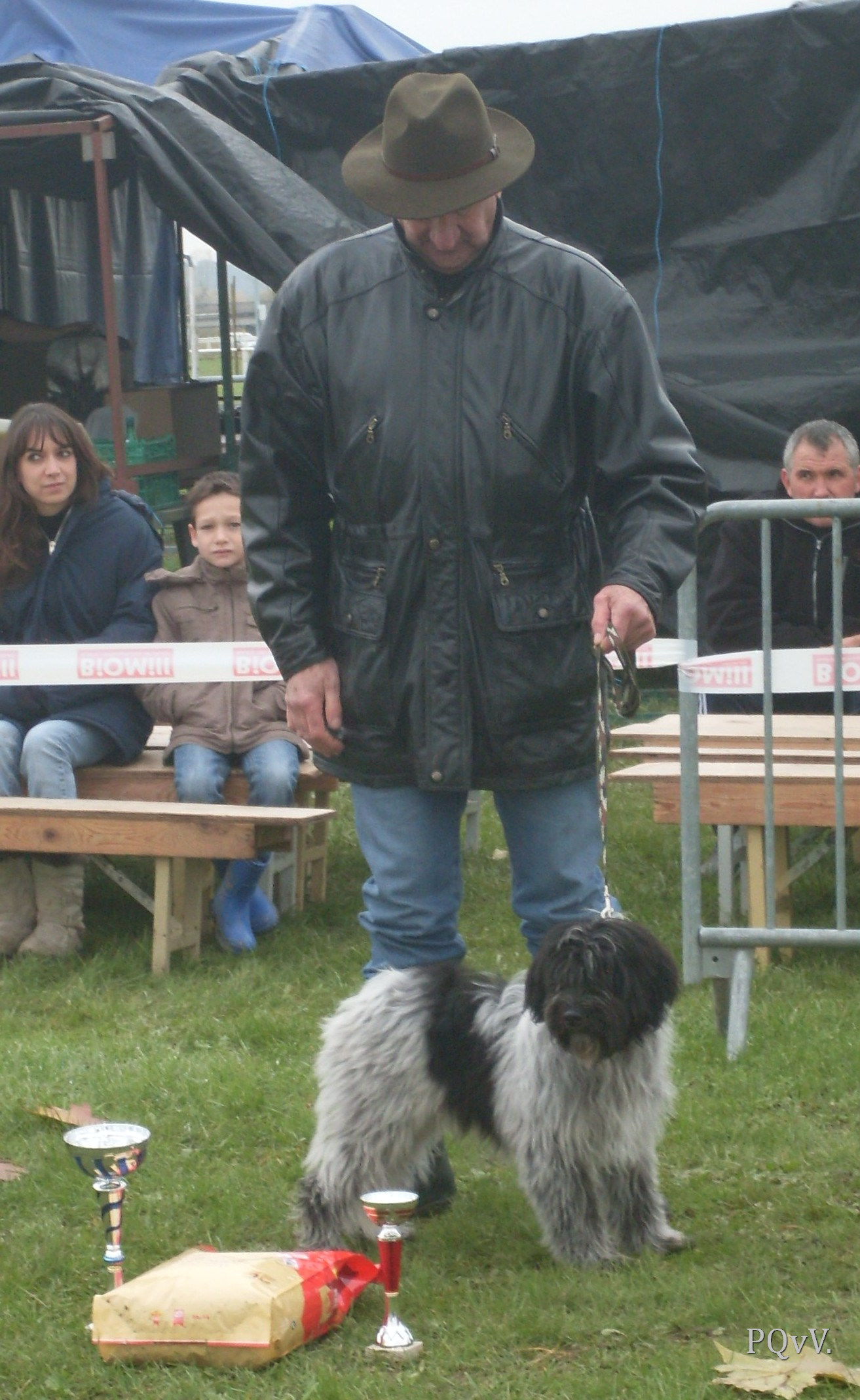  meilleur male, Hellinger de Forlhand